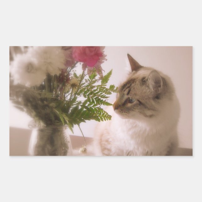 chat sur fleurs stickers (Devant)