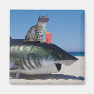CHAT SUR LA MAGNET DE REQUINS DE PLAGE