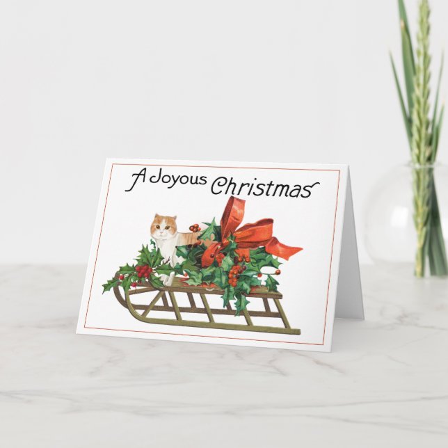 Chat sur un traîneau décoré Carte de Noël (Devant)