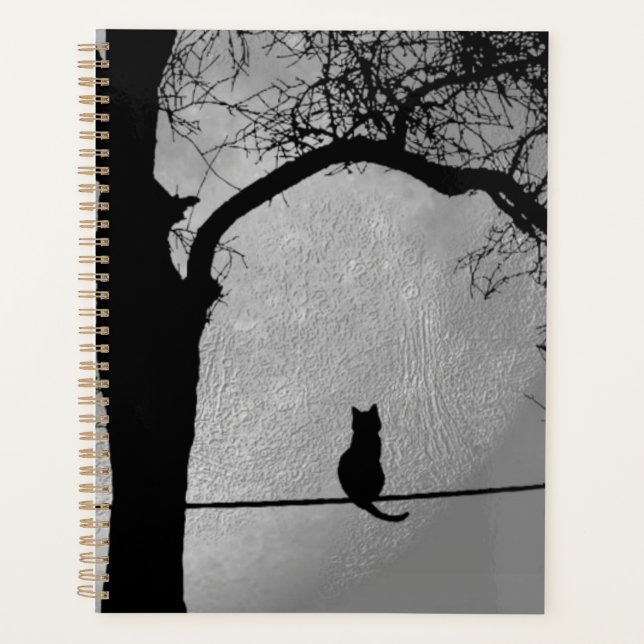 Chat sur une Pleine lune de fil (Devant)