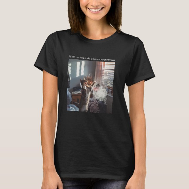Chat T-shirt Mème Silly Chat Funny Kitty Meow Hiss (Devant)