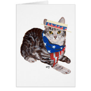 Chat tabby American Shorthair patriotique