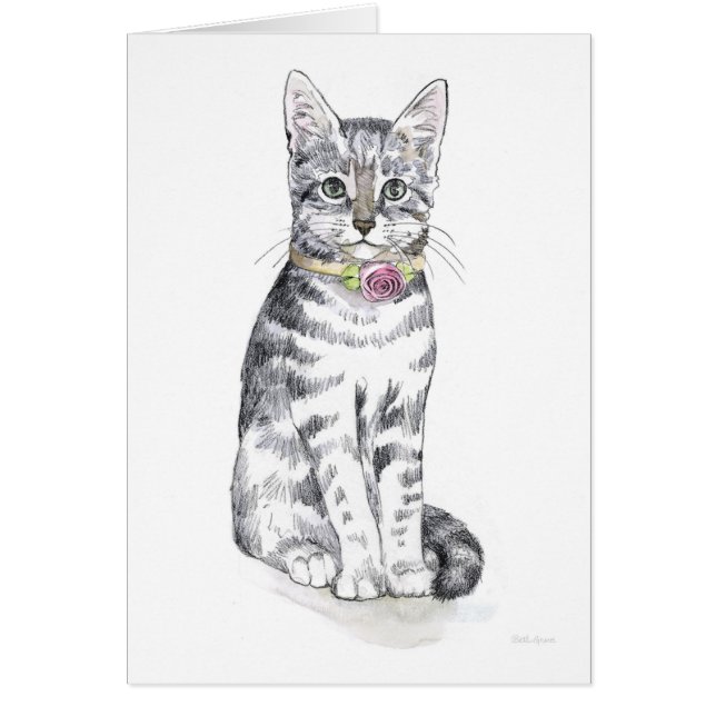 Chat Tabby Fancy (Devant)