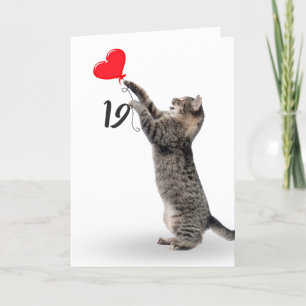 chat tabby ludique pour la carte 19ème anniversair