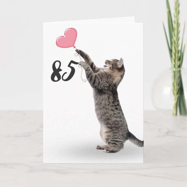 chat tabby ludique pour la carte 85ème anniversair (Devant)