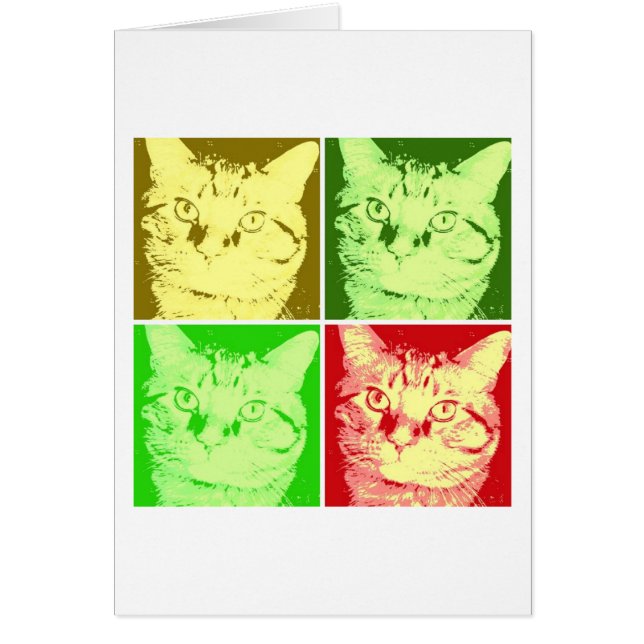 Chat Tabby Orange (Devant)