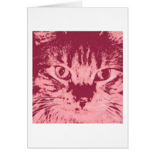 Chat Tabby Orange