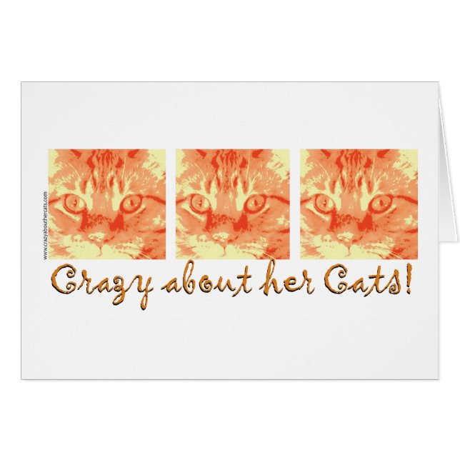 Chat Tabby Orange (Devant horizontal)