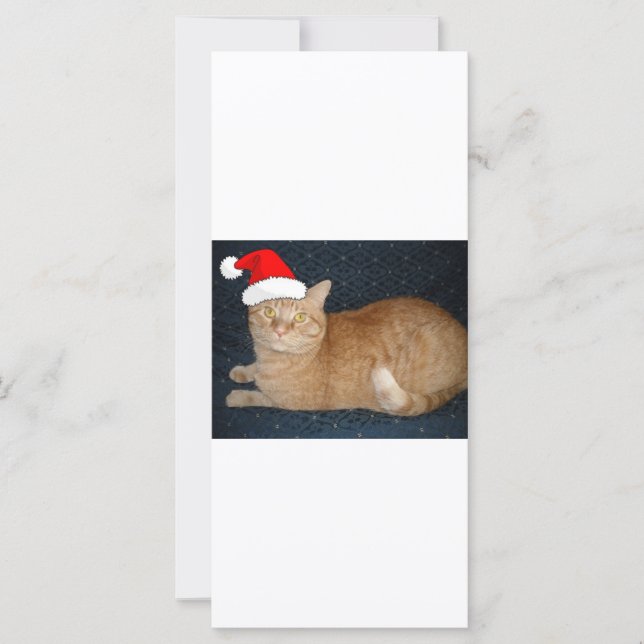 Chat Tabby Orange de Noël (Devant)