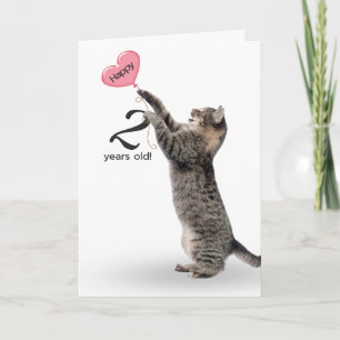 chat tabby pour la carte de 2ème anniversaire
