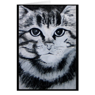 Chat tigré