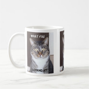 Chat tigré ce qui vous, regardant la tasse de café