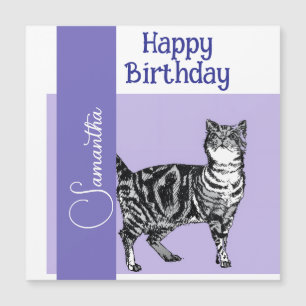 Chat tigré Chats Violet Animal de compagnie Filles