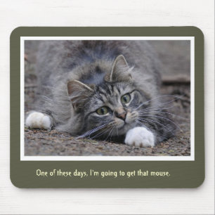 Chat tigré drôle allant obtenir ce tapis de souris