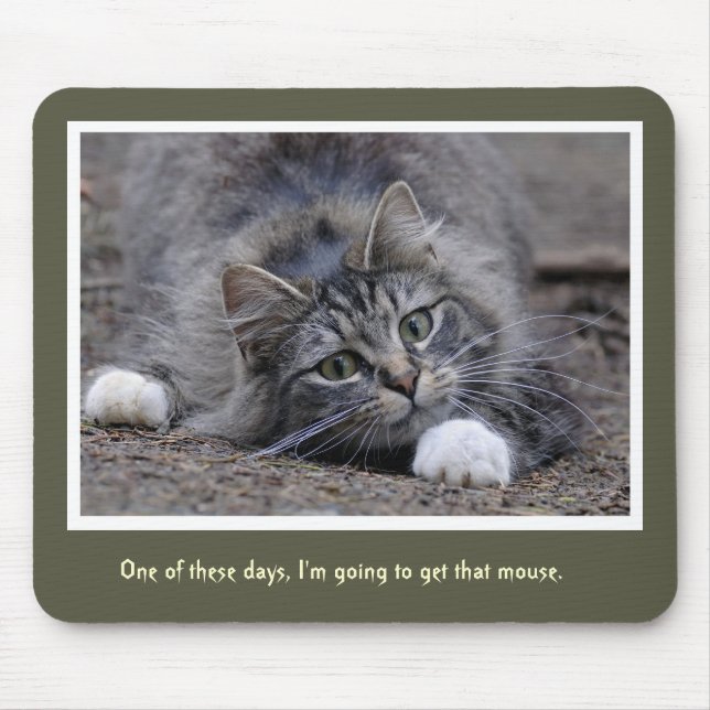 Chat tigré drôle allant obtenir ce tapis de souris (Devant)