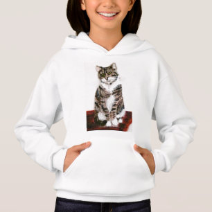 Chat tigré gris