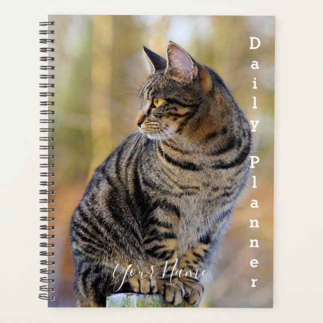 Chat tigré gris - Planificateur quotidien- HAMbWG (Devant)