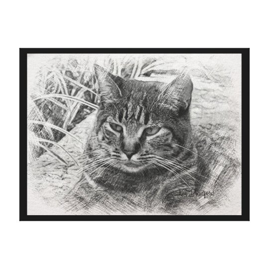 Chat Tigre Gris Sur L Art De Toile De Promenade Zazzle Fr