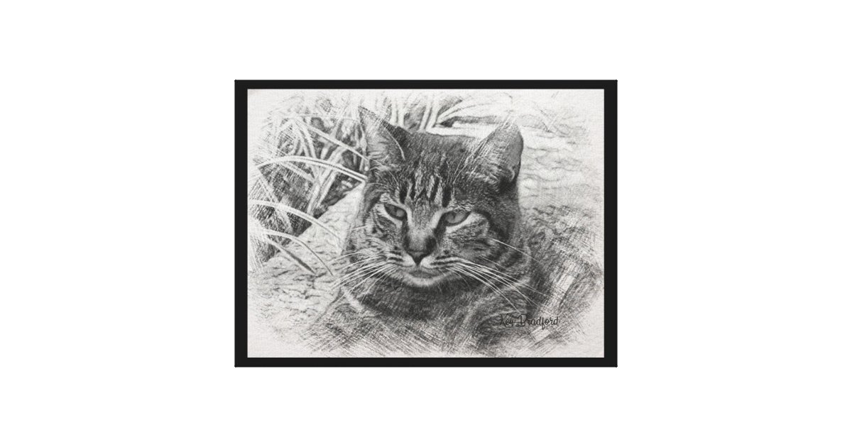 Chat Tigre Gris Sur L Art De Toile De Promenade Zazzle Fr