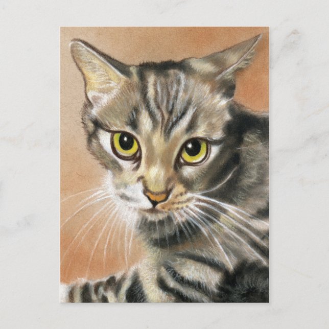 Chat Tigre Jeune Animal  Carte Postale (Devant)