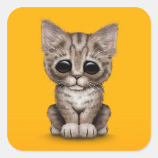 chat_tigre_mignon_triste_de_chaton_de_brown_sur_le_sticker_carre-rc598322dd0574dbab9335ebf63e9020c_v9i40_8byvr_324.jpg