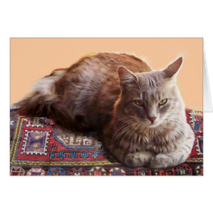 CHAT TURQUE SUR LA MOQUETTE ANTIQUE