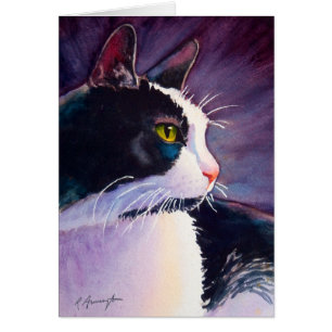 Chat Tuxedo Noir dans l'humeur orageuse