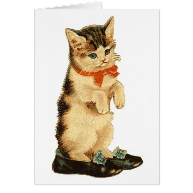 Chat vintage (Devant)