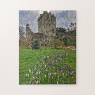 Château de Blarney au printemps, Irlande Puzzle