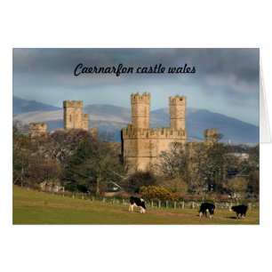 Château de Caernarfon au pays de Galles.