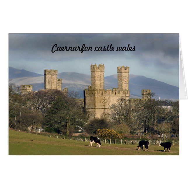 Château de Caernarfon au pays de Galles. (Devant horizontal)