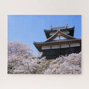 Château de Kōriyama : Puzzle