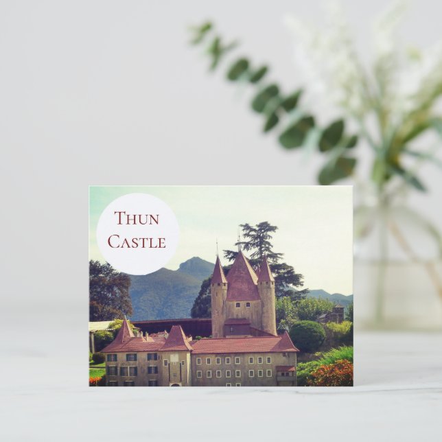 Château de Thun - Suisse Carte postale (Debout devant)