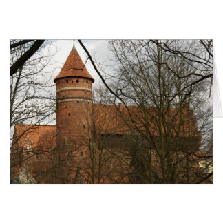 Château gothique médiéval d'Olsztyn - carte