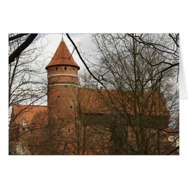 Château gothique médiéval d'Olsztyn - carte (Devant horizontal)