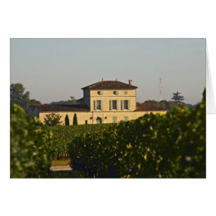 Château Lafleur Petrus et vignoble, à Pomerol,