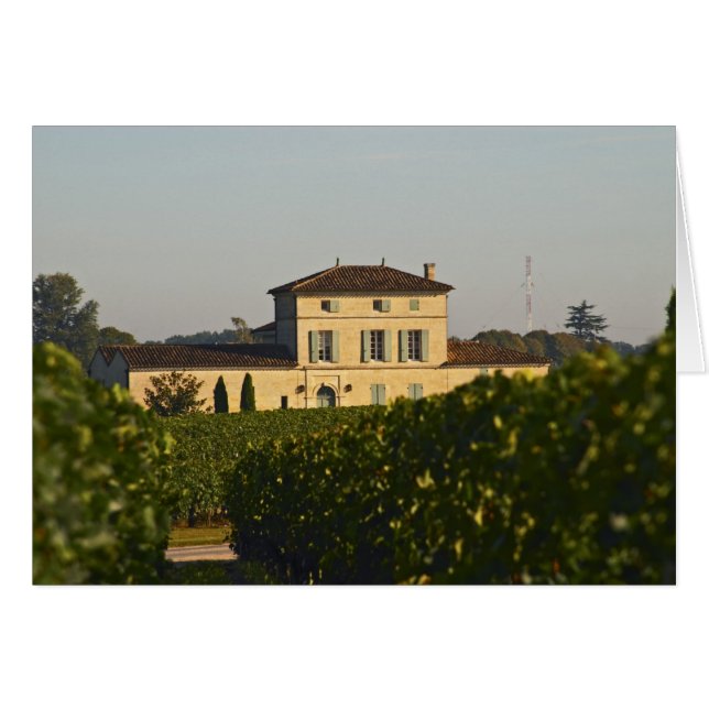 Château Lafleur Petrus et vignoble, à Pomerol, (Devant horizontal)