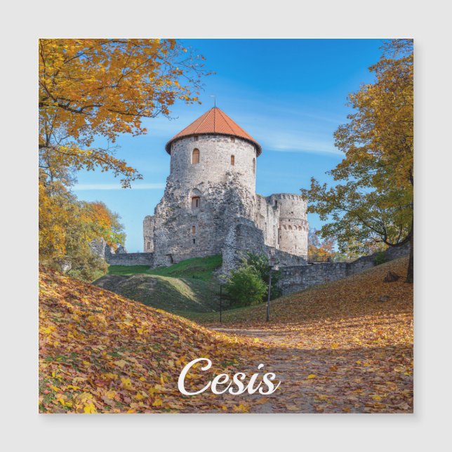 Château médiéval entouré d'aimant forestier (Devant)