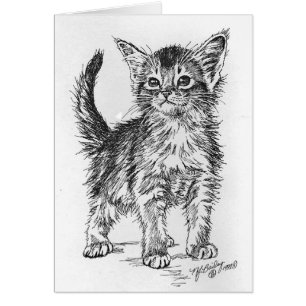 Chaton abyssinien à l'encre
