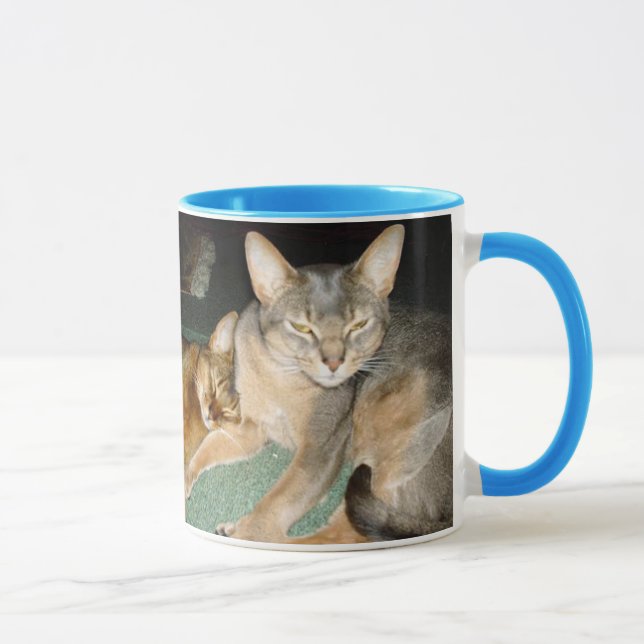 Chaton abyssinien et Mugs de chat (Droite)
