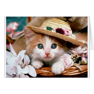 Chaton avec le chapeau de paille.