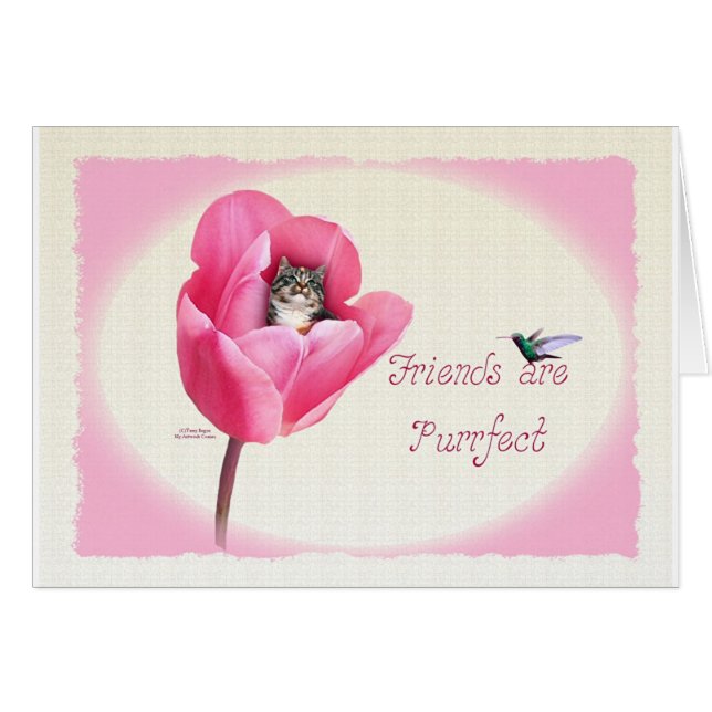 Chaton dans la tulipe (Devant horizontal)