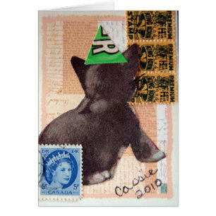 Chaton dans un collage de casquette de partie