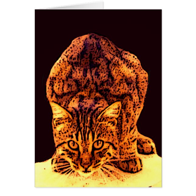 CHATON DE CHAT SAUVAGE (Devant)