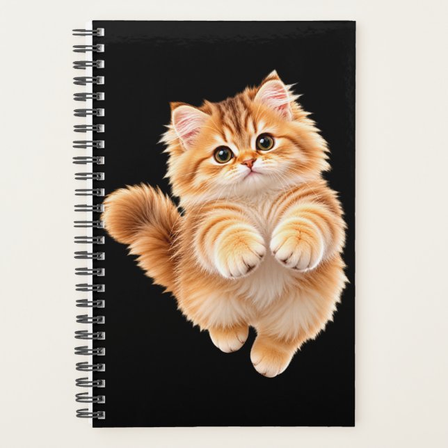 Chaton duveteux  (Devant)