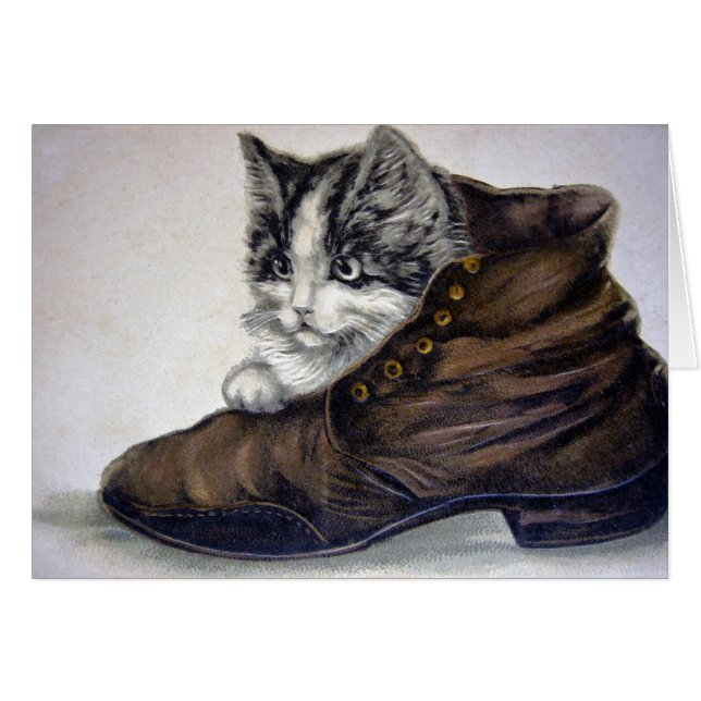 Chaton en chaussure (Devant horizontal)