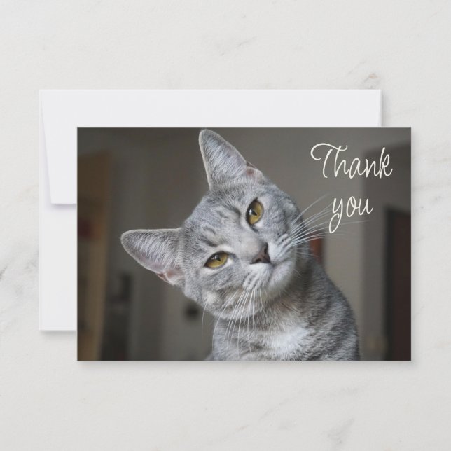 Chaton mignon amusant Merci (Devant)