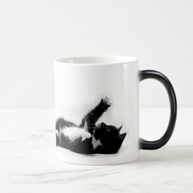 Chaton noir et blanc sur la tasse changeante de (Droite)
