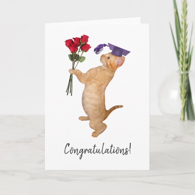 Chaton orange avec carte de graduation Roses rouge (Devant)