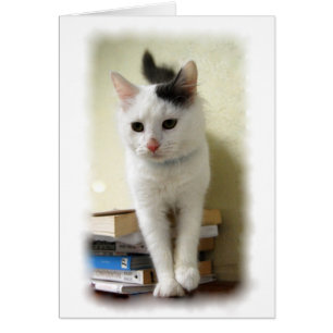 Chaton sur la carte de livres